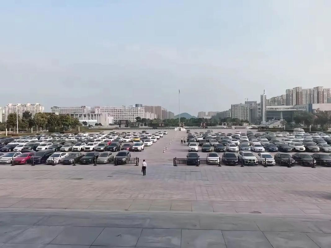 市政府翻譯服務 助力商務溝通與跨域合作