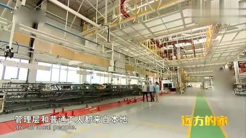 保加利亞中國(guó)汽車工廠里的跨文化使者 美女員工如何架起商務(wù)溝通橋梁